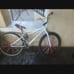 Elite bmx bike