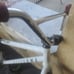 Elite bmx bike