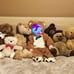 Bear costume and teddy bears