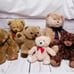 Bear costume and teddy bears
