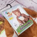Bear costume and teddy bears