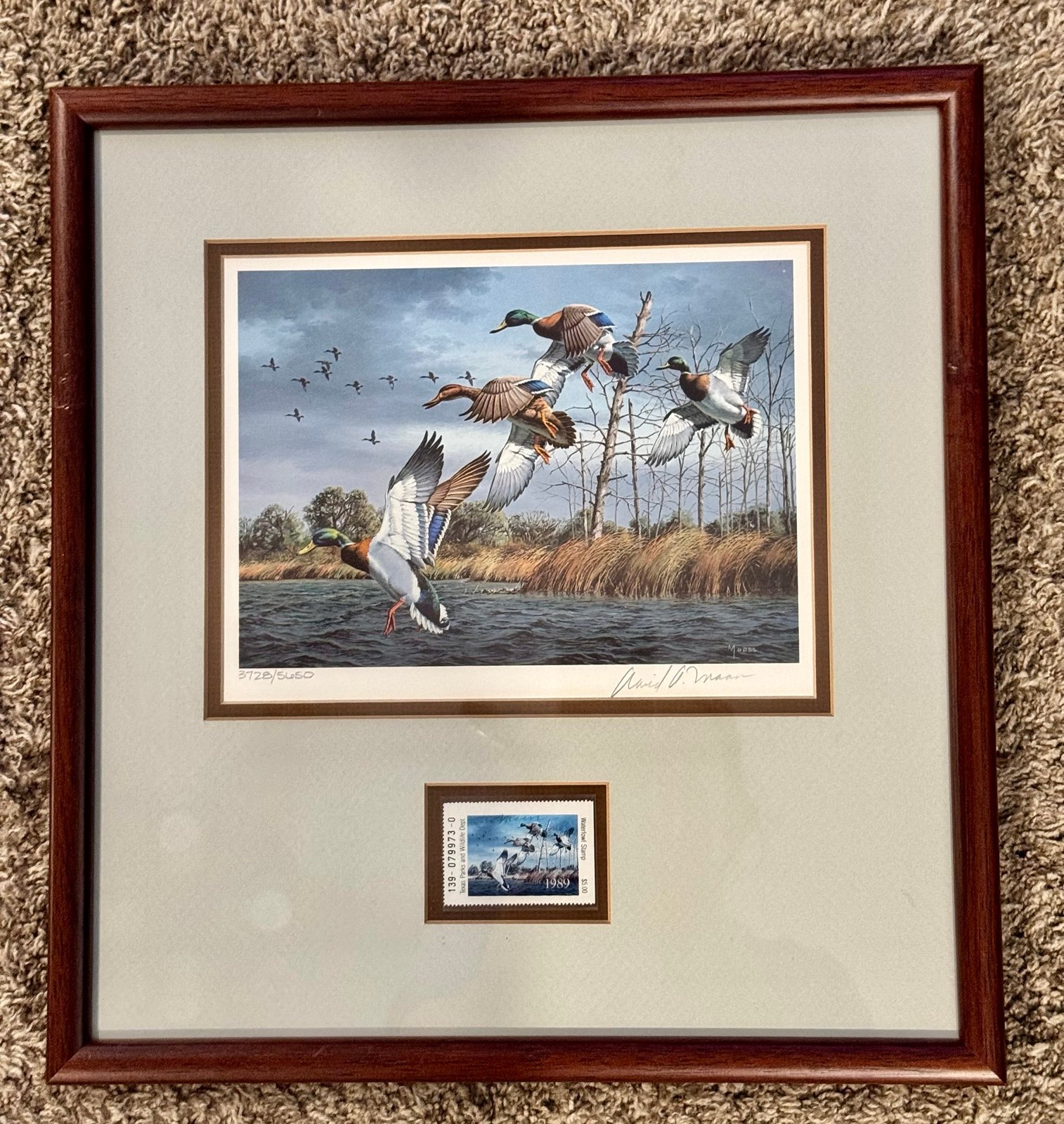 1989 texas duck stamp and print signed David Maass