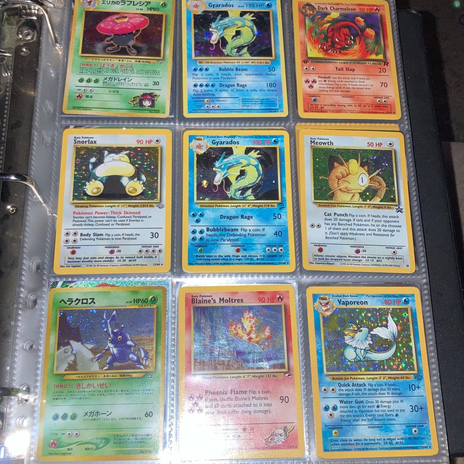 1995-2023 Pokémon binder
