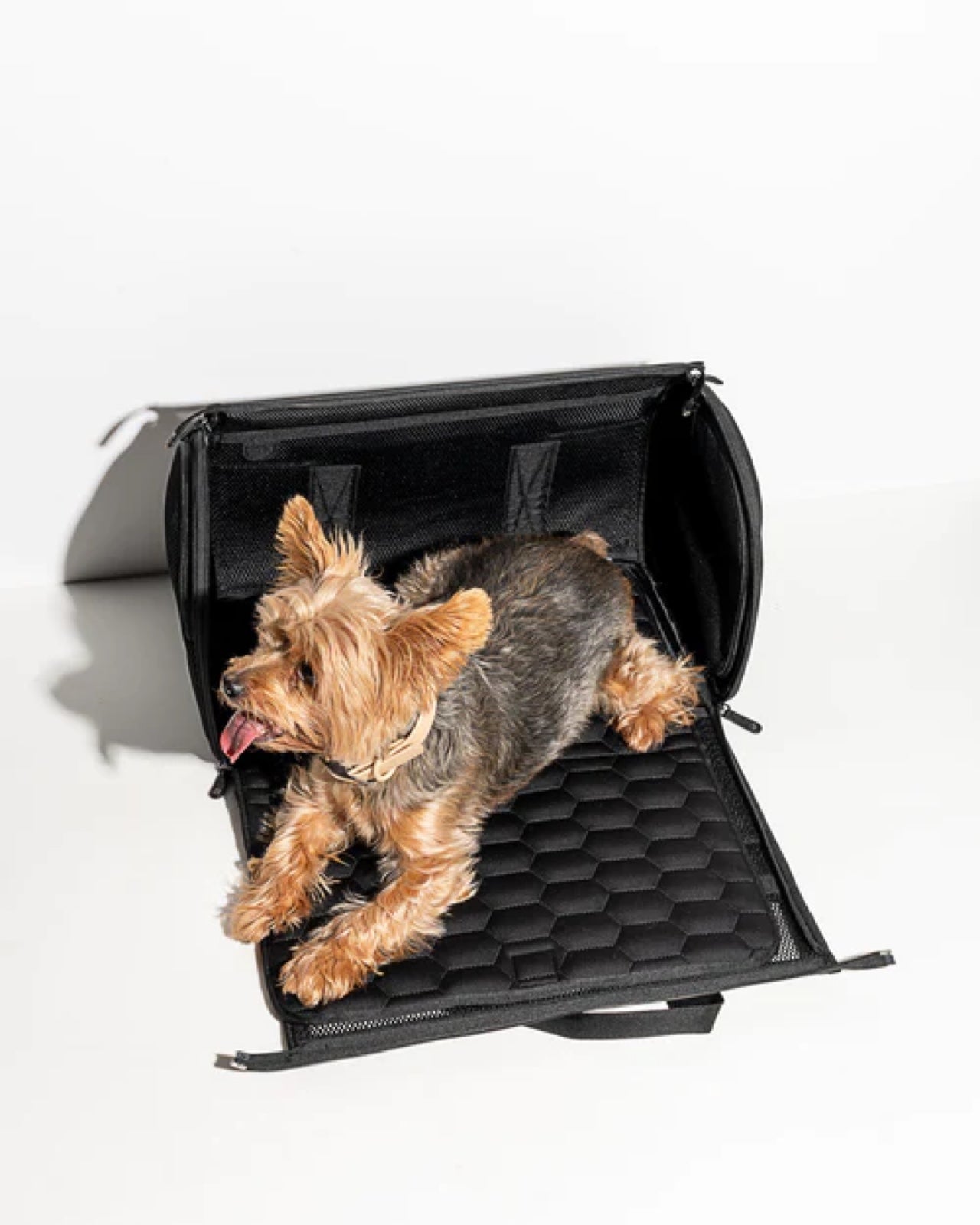 Wild One Pet Travel Carrier with Treat Bag Carrier NWT (BLK)