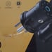 Smart lock security hardware