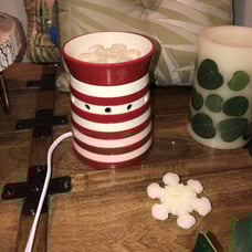 Scentsy warmer