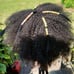PYURETI TEXTURE MATCH WIG BAND