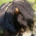 PYURETI TEXTURE MATCH WIG BAND