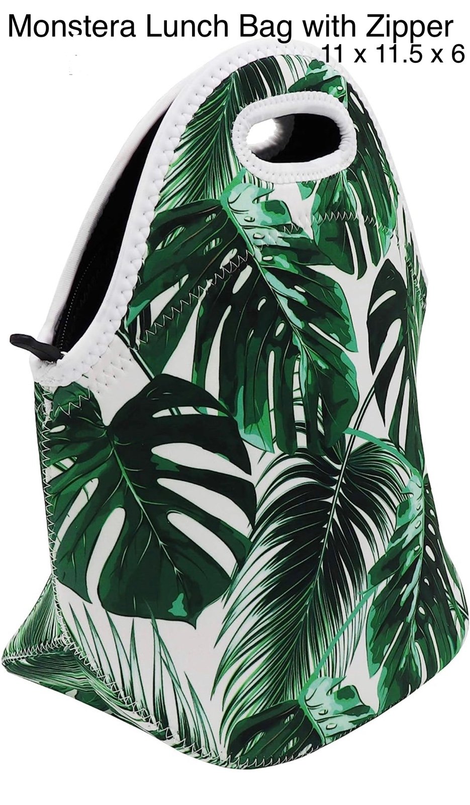 Monstera Bag! Plants, Plant Accessories, and a Bag of Choice- Lunch Bag