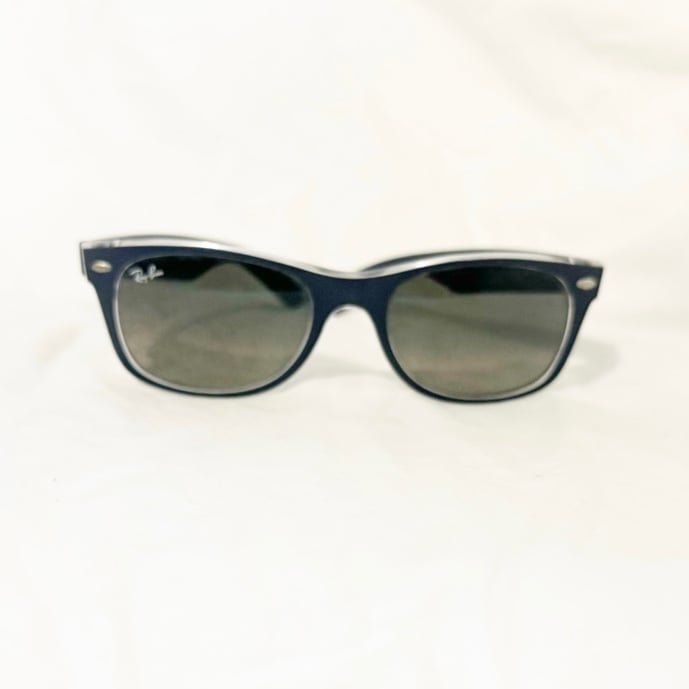 Ray-Ban Wayfarer Sunglasses in Matte Blue