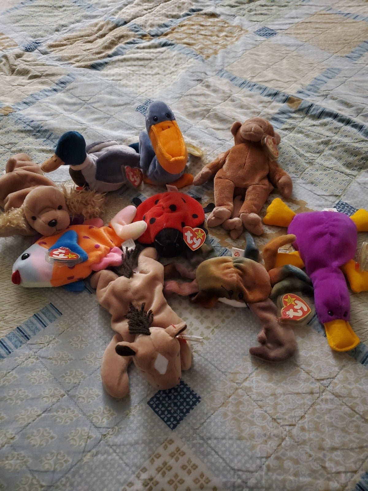 Ty Beanie Babies