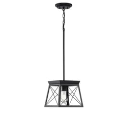 Progress Lighting Briarwood Single Light 10 Wide Pendant Black Farmhouse