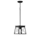 Progress Lighting Briarwood Single Light 10 Wide Pendant Black Farmhouse
