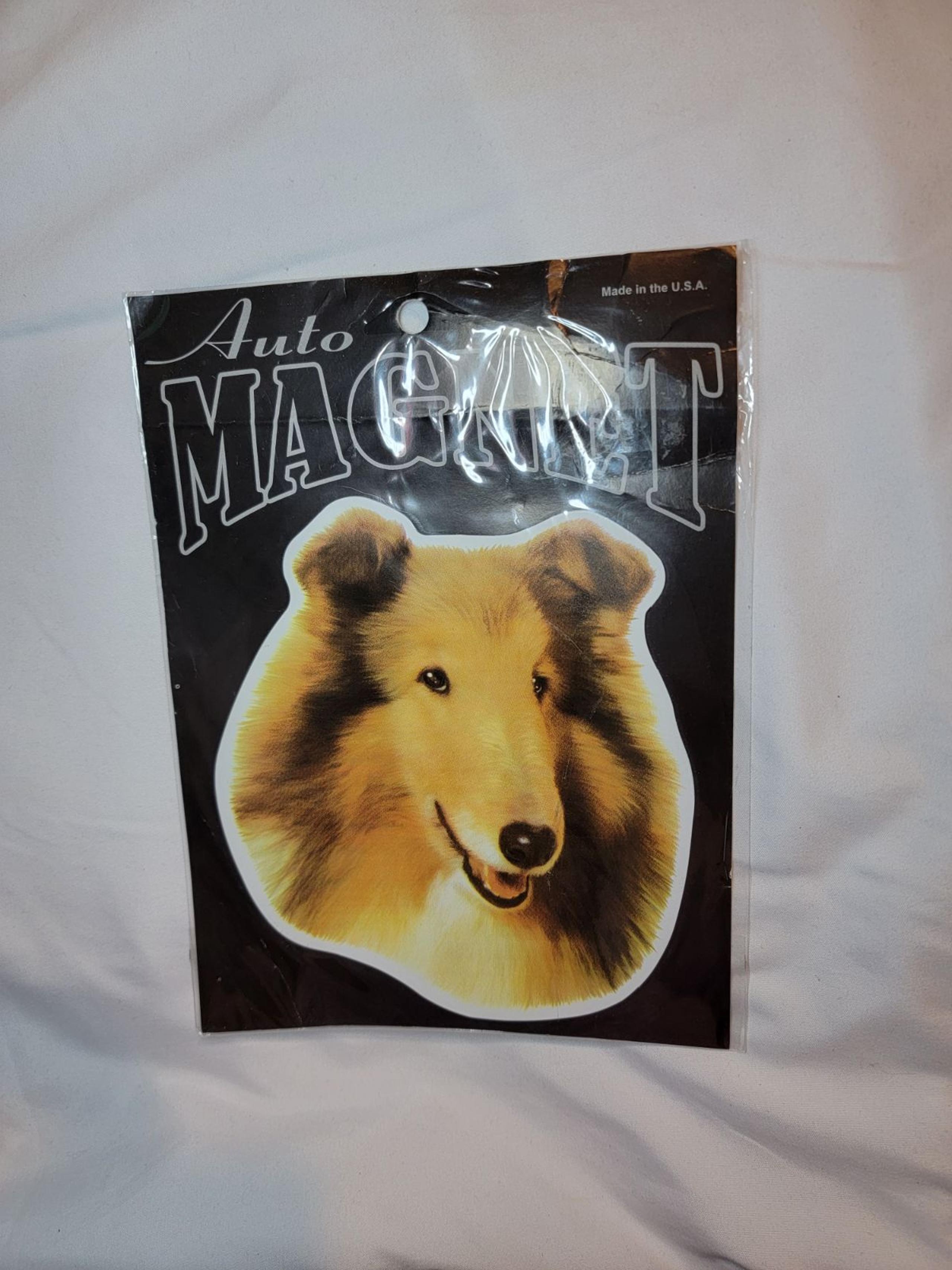 New Collie Dog Auto Magnet