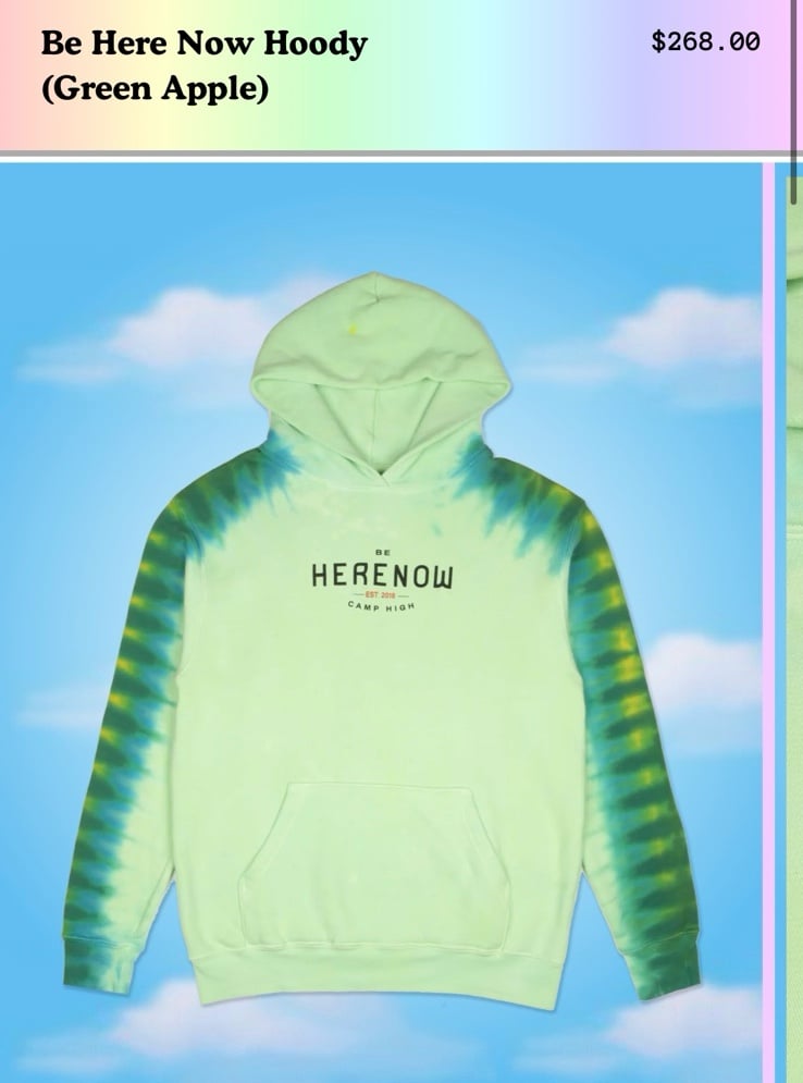 Camp High hoodie