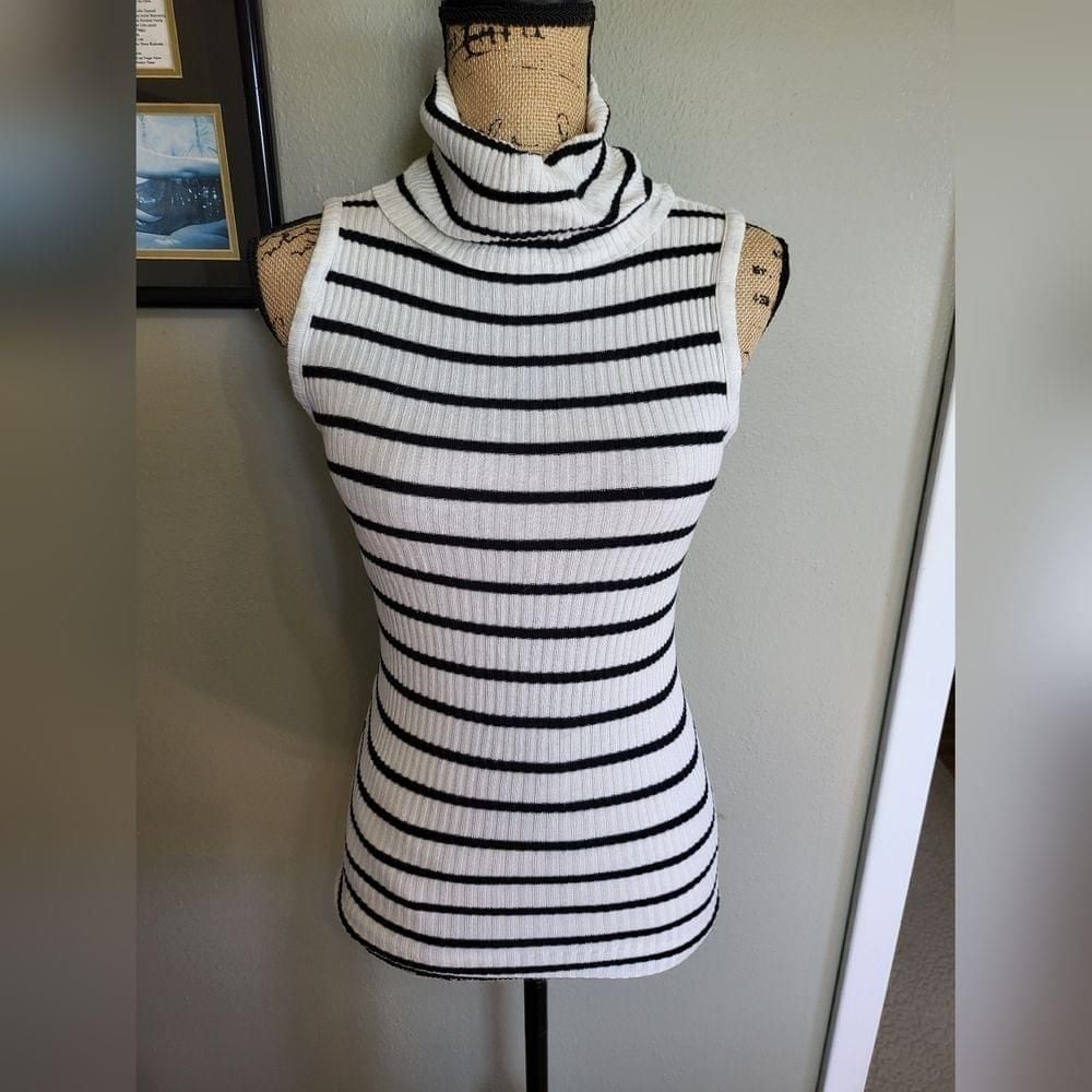 Hotel Particulier Turtleneck Sweater Tank Black and White Stripes