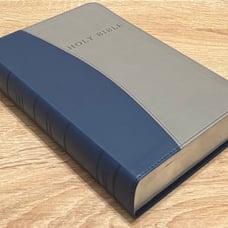 KJV Personal Size Giant Print Reference Bible -Imitation Leather, Blue/Gray 2008