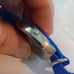 Allwyn 21 Jewel automatic wrist watch very nice