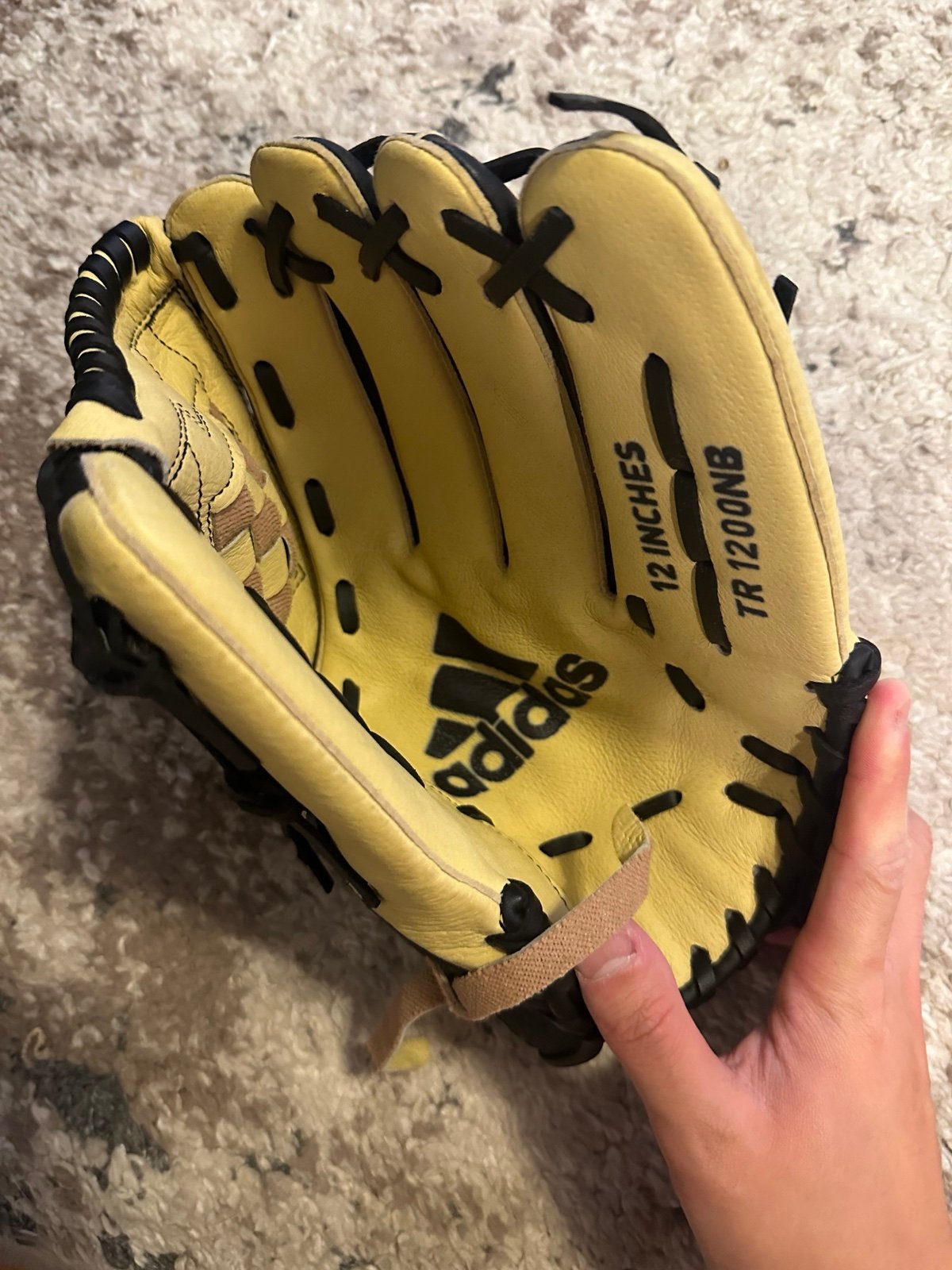 Softball 12 in glove