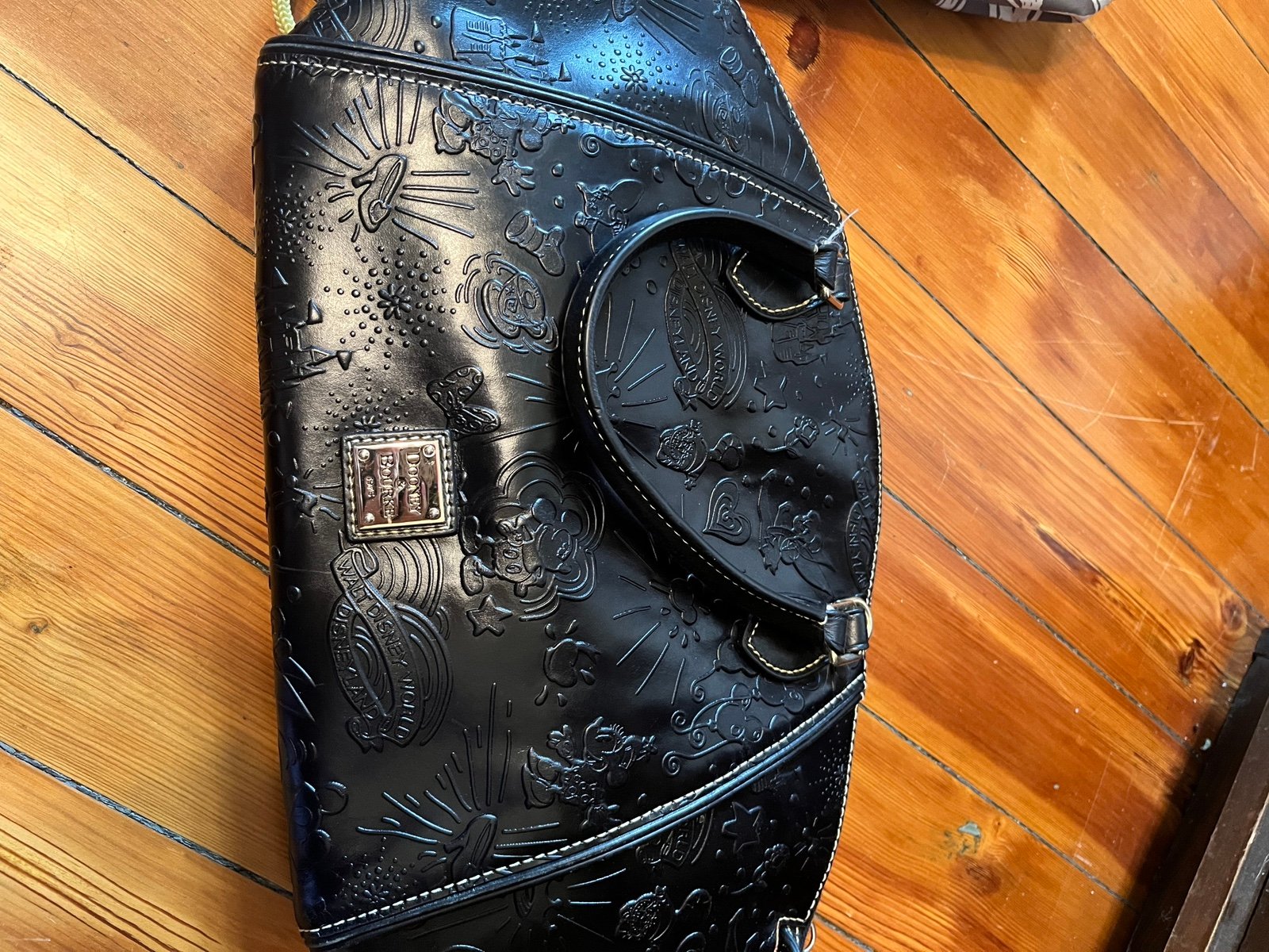 Disneyworld Dooney and Bourke purse