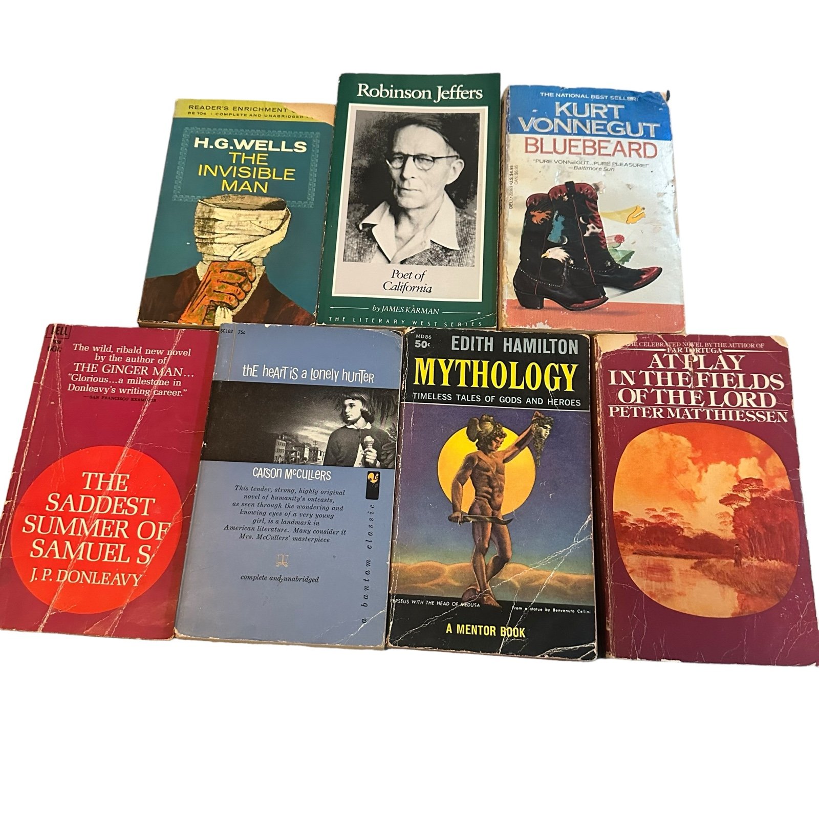 Random Lot of Vintage Paperback Books