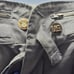 Mens BRANDIT Classic M65 Army Field Jacket Sz XL ART 3108 Ranger Airborne