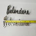 Original Pair of Plymouth Belvedere Emblems
