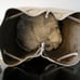 Marco Masi AURORA -Italian Calfskin Leather Gold Bucket Bag NWT