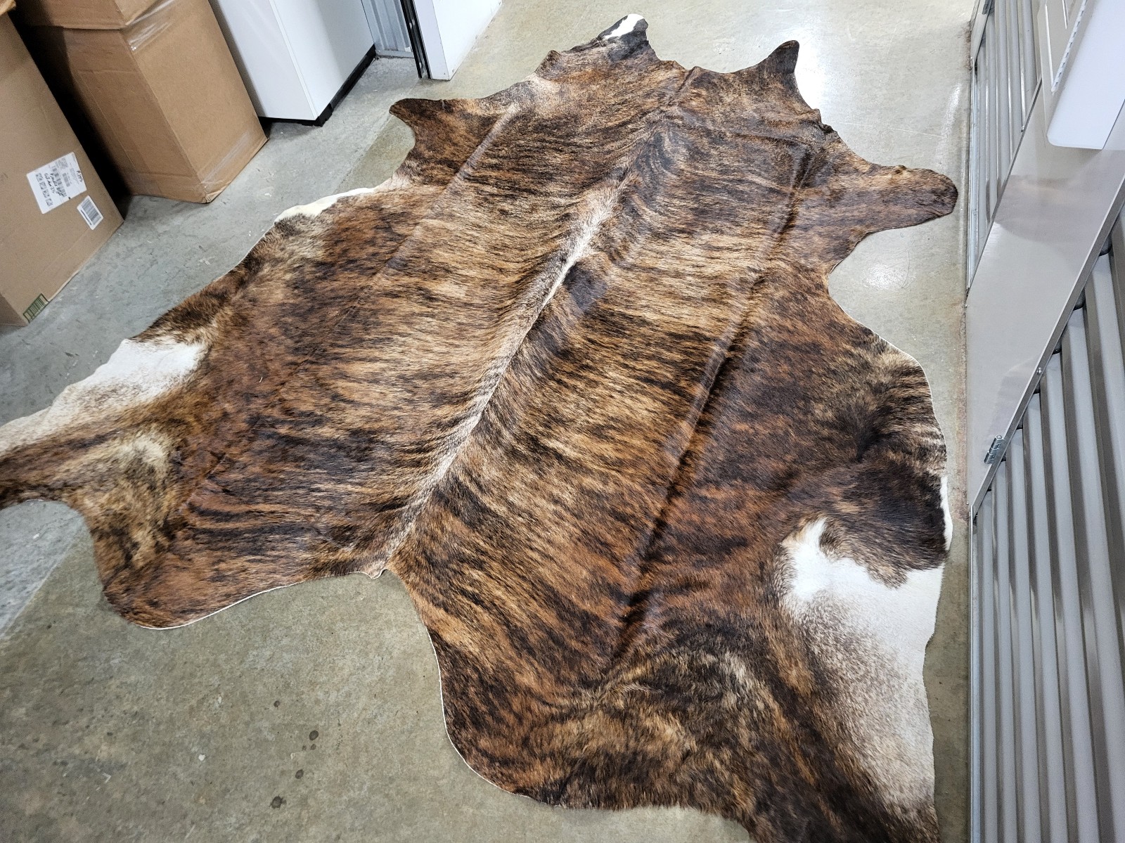 Leather Rug #209, Brindle/Tabby Rustic New Cowhide Genuine Size L 90x82 inches.