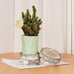 NEW 3PCS Wood Risers for Decor Mini Wooden Stool Display Stand with Removable