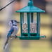 Birdream 2 Pack Bird Feeders for Outside, Pagoda Design Fun Installatio Bird Fee