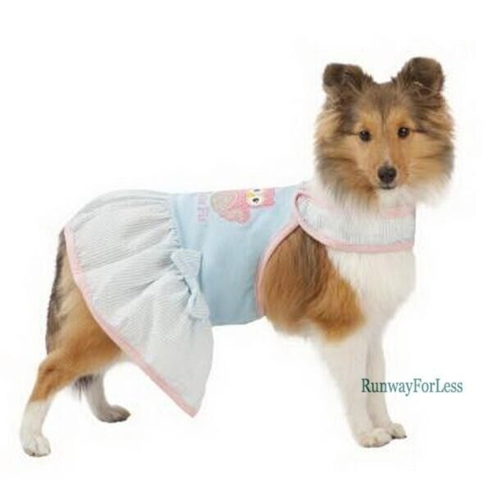 Martha stewart dog clothes petsmart clearance