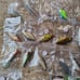 Fishing jerk baits # m25