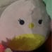 Squishmellow