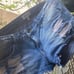 womens jean shorts