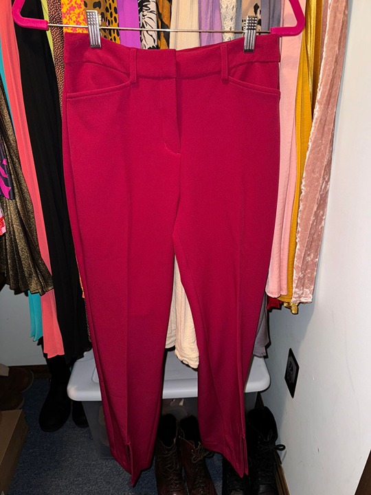 3 Pairs of NWOT Express Dress Pants Size 2 Short