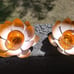 Solar Light Outdoor(2Pack), Art Crackle Globe Glass Lotus Decoration, Solar