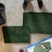 Pet Potty Relief System