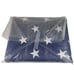 Patriarch Polyester American Flag 4x6 FT Carrot-Top