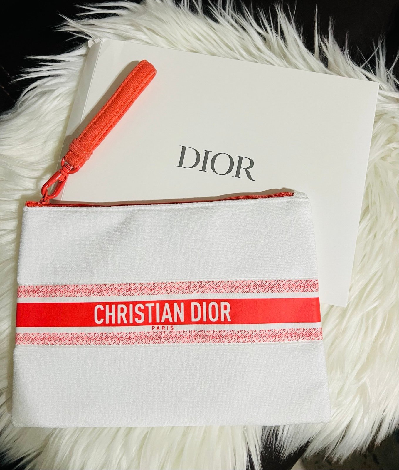 Dior Summer Pouch Clutch 2024 New