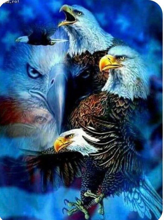 Print of American flag with bald eagle