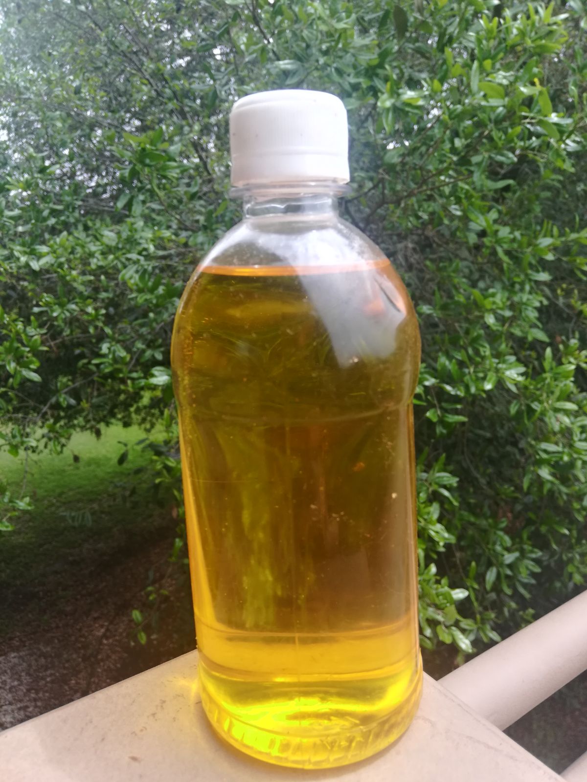 COSMETIC Argan Oil
