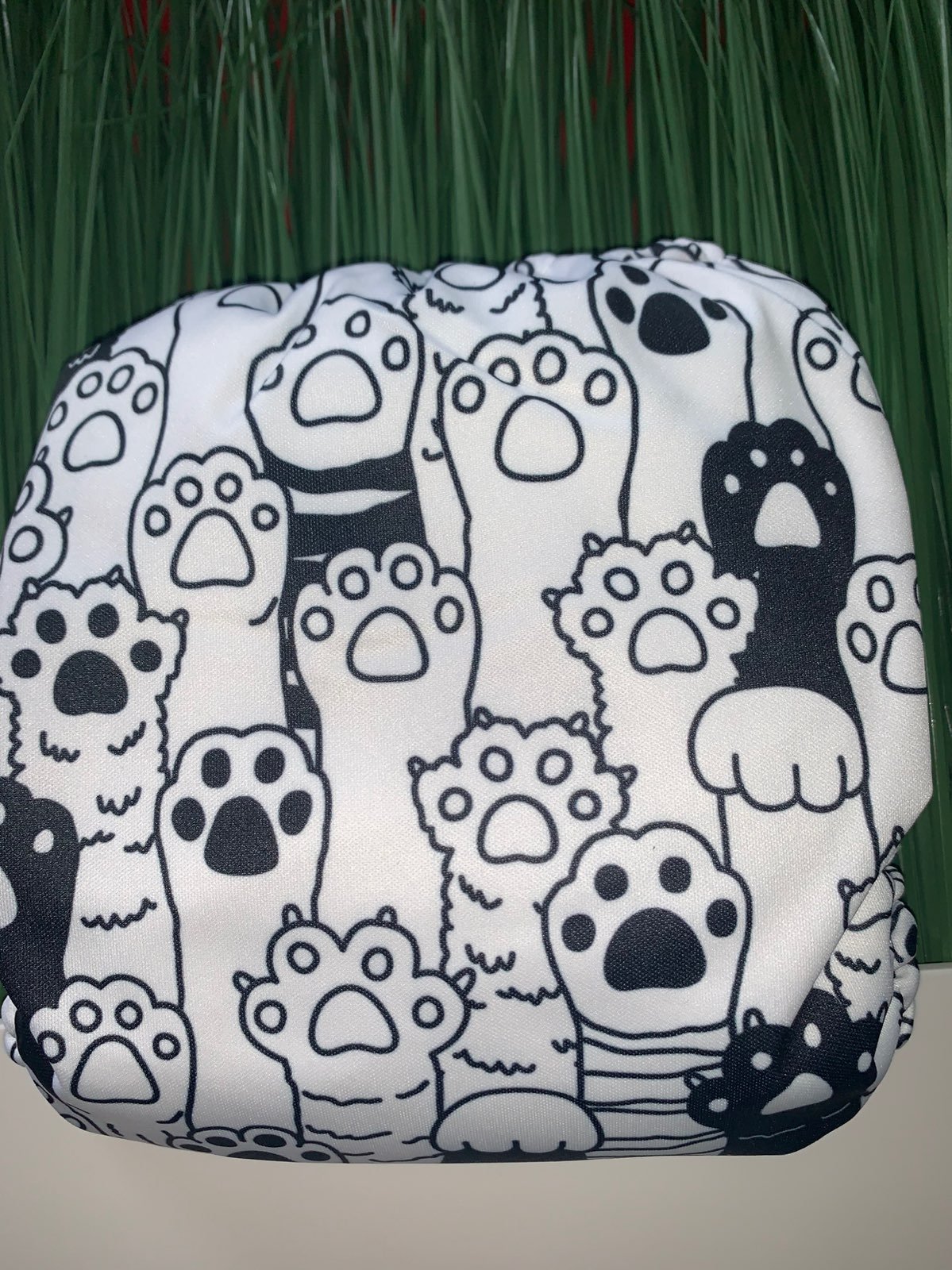 Mama koala cat paws