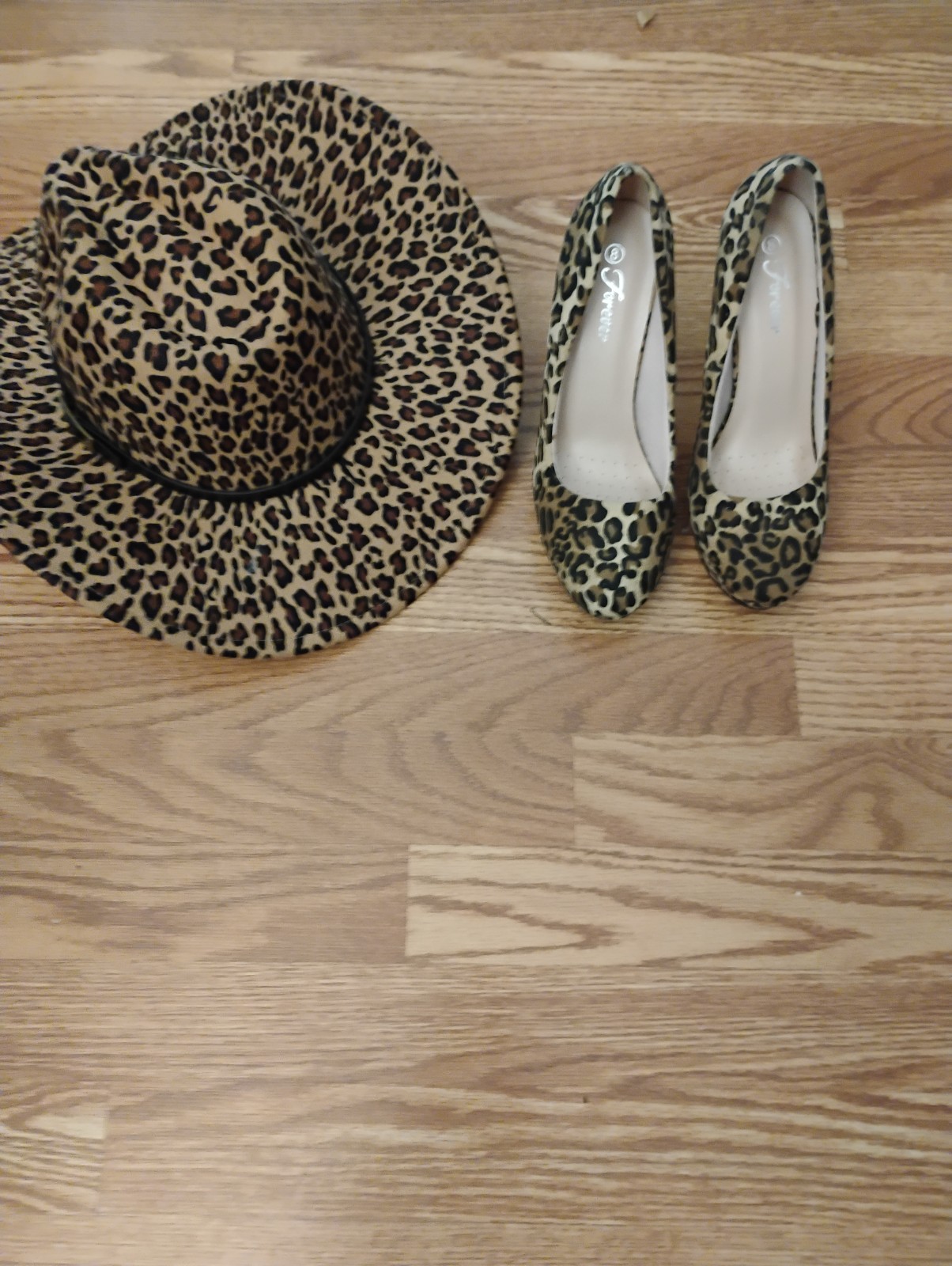 Women's hat and stilettos