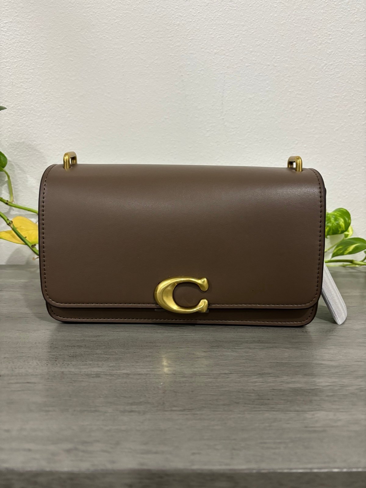 Crossbody Bandit Coach Bag
