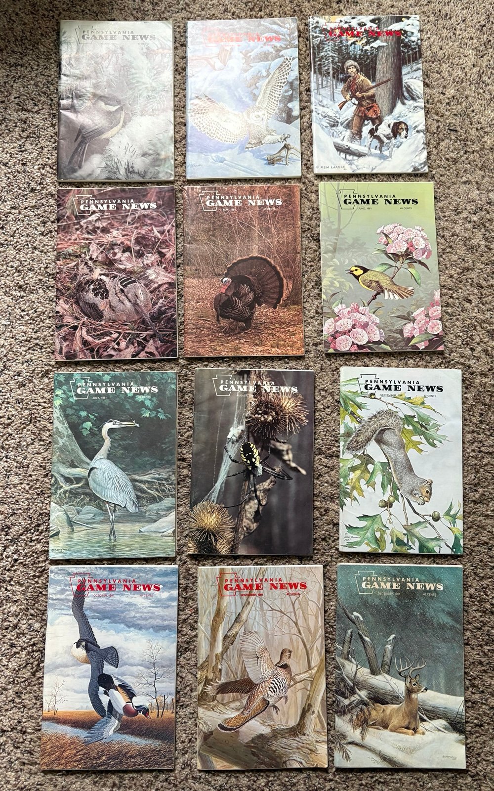 Magazine lot of 12 Jan-Dec 1981 Pennsylvania Game News