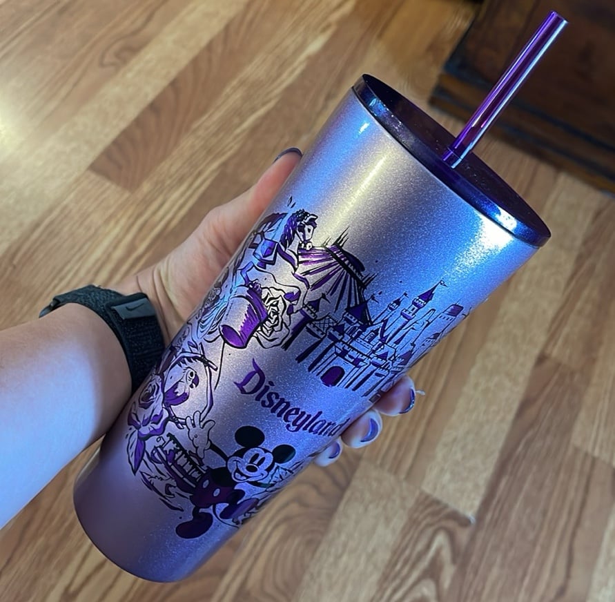 Starbucks Disneyland Stainless Steel 24oz Tumbler