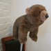 VINTAGE SABLE TY CLASSIC BEAR
