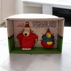 New Hand Painted Peanuts Snoopy Woodstock Puffy Coat Salt & Pepper Shakers