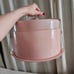 Vintage cake carry container